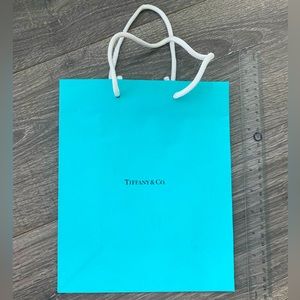 8 x 10 inch Tiffany & Co. gift bag